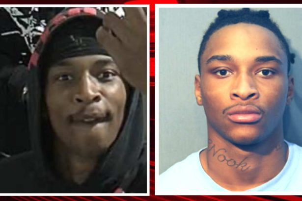Man who flipped off CTA camera during Red Line robbery gets 16-year prison sentence