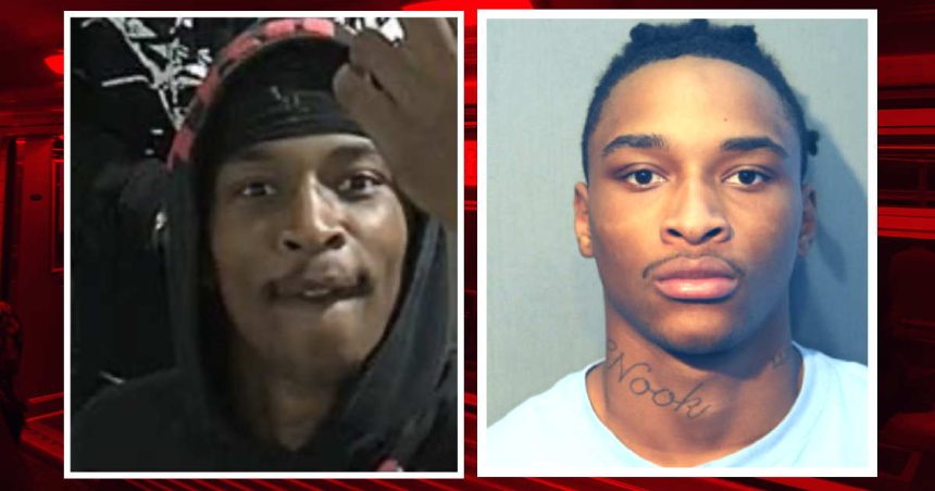 Man who flipped off CTA camera during Red Line robbery gets 16-year prison sentence