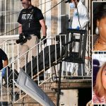 Maniac shot by cops after allegedly gunning down sister and mom was ‘never normal,’ neighbor says