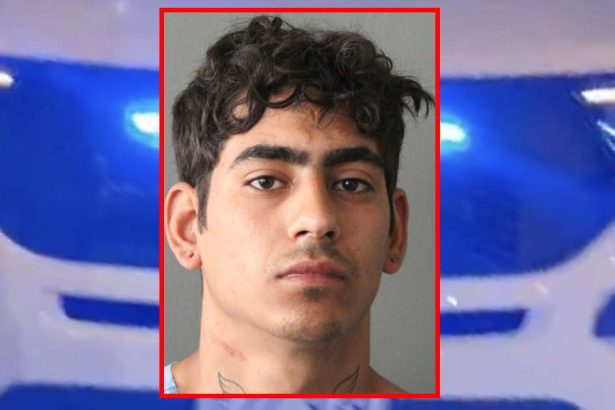 Migrant detained after allegedly dragging CPD officer with car, biting cop during arrest