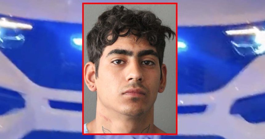 Migrant detained after allegedly dragging CPD officer with car, biting cop during arrest