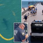 NYPD deploys drones to track sharks after rise in sightings off NYC beaches