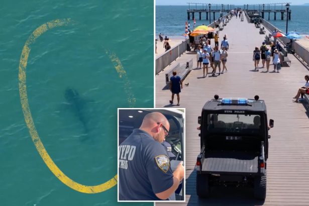 NYPD deploys drones to track sharks after rise in sightings off NYC beaches