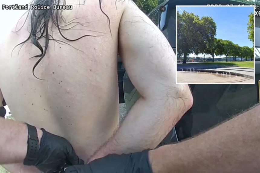 Naked man tries to kidnap 7-year-old tourist from mother at Portland park, bystanders intervene