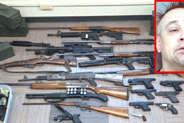 North Center firearms restraining order search nets 20 guns, including machine gun, officials say