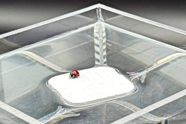 Scientists Create a ‘Breathable’ Hydrogel Inspired by Human Lungs : ScienceAlert