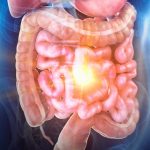 Scientists Create a ‘Gut-on-a-Chip’ That Reveals Hidden Drivers of Inflammatory Bowel Disease : ScienceAlert