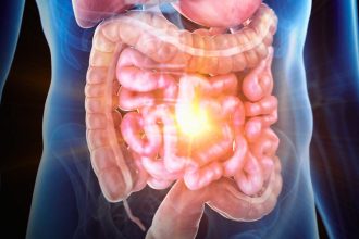 Scientists Create a ‘Gut-on-a-Chip’ That Reveals Hidden Drivers of Inflammatory Bowel Disease : ScienceAlert