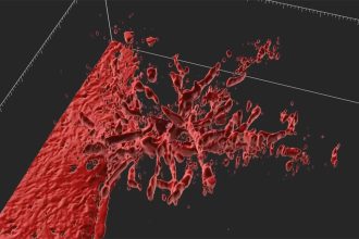 Scientists Find a More Precise Way to Grow Artificial Blood Vessels, Using Magnets : ScienceAlert