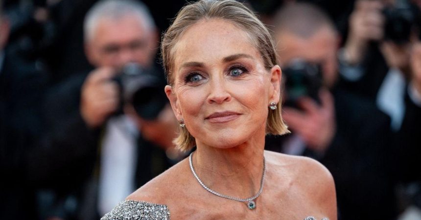 Sharon Stone Opened Up About Stroke Medication Battle