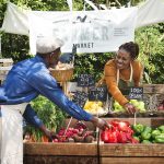 Shopping Your Values: Organic – Earth911
