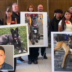 SoCal Dog trainer learns fate for trapping animals in small cages, leaving them to die