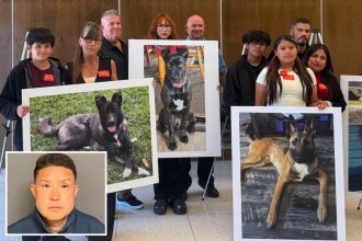 SoCal Dog trainer learns fate for trapping animals in small cages, leaving them to die