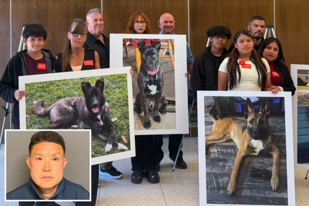 SoCal Dog trainer learns fate for trapping animals in small cages, leaving them to die