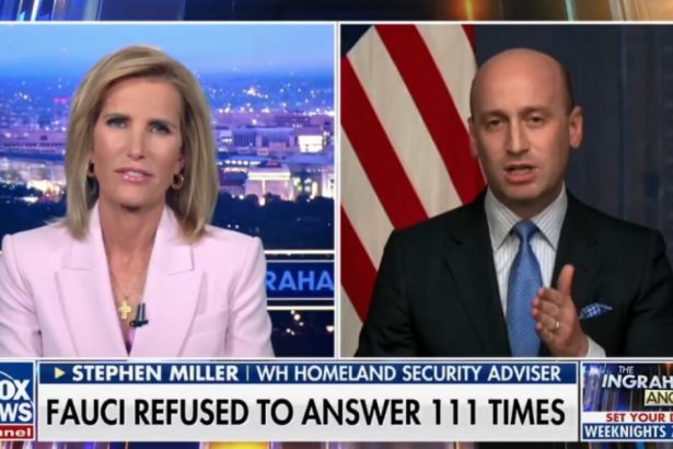 Stephen Miller Goes Off on Dr. Fauci After Explosive Senate Hearing (VIDEO) *  * by Cristina Laila