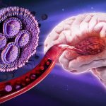 Sugar-Coated Nanoparticles Shrink Deadly Brain Tumors in Mice : ScienceAlert