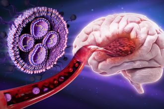 Sugar-Coated Nanoparticles Shrink Deadly Brain Tumors in Mice : ScienceAlert