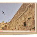 Swifts fly over the Western Wall in Jerusalem : NPR