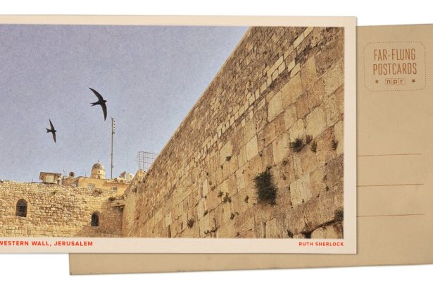Swifts fly over the Western Wall in Jerusalem : NPR