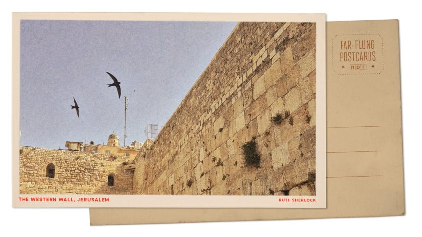 Swifts fly over the Western Wall in Jerusalem : NPR