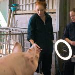 TV must showcase real animal lives