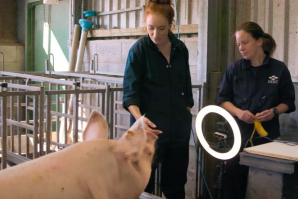 TV must showcase real animal lives