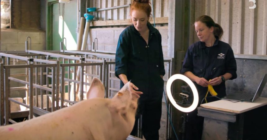 TV must showcase real animal lives