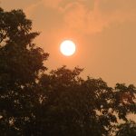 Thousands flee as First Nations bear the brunt of Canada’s fires