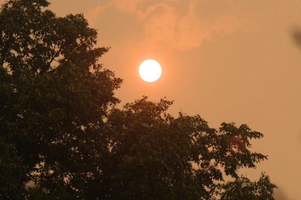 Thousands flee as First Nations bear the brunt of Canada’s fires