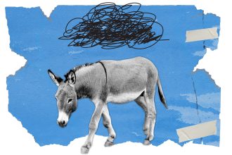 Top Democratic donors warn the DNC has a 2028 problem
