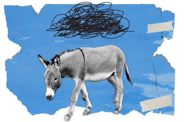 Top Democratic donors warn the DNC has a 2028 problem