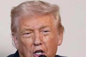 Trump Is Under Investigation For Scheme To Sell Insider Access