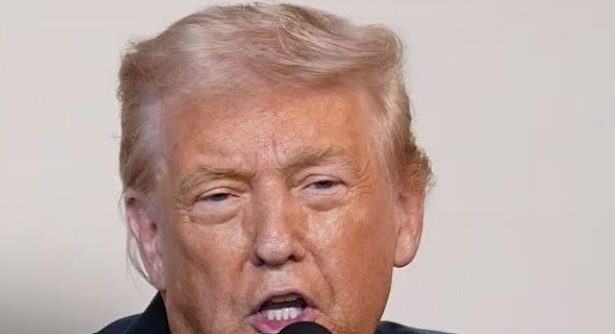 Trump Is Under Investigation For Scheme To Sell Insider Access