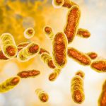Uranium-Eating Bacteria Leave Just 5% of The Radioactive Metal in Toxic Mine Water, Scientists Discover : ScienceAlert