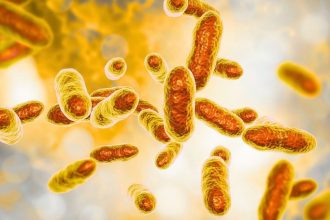 Uranium-Eating Bacteria Leave Just 5% of The Radioactive Metal in Toxic Mine Water, Scientists Discover : ScienceAlert