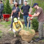 Urban trees aren’t just nice, scientists say — they’re mandatory