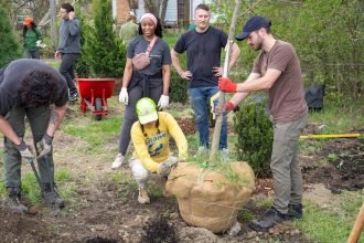 Urban trees aren’t just nice, scientists say — they’re mandatory