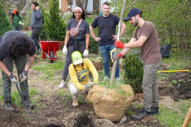 Urban trees aren’t just nice, scientists say — they’re mandatory
