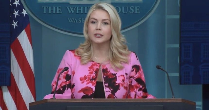 WATCH LIVE: White House Press Briefing- 11 AM ET