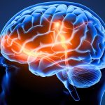 Your Brain Really Can Learn to Multitask – And Scientists Just Revealed How : ScienceAlert