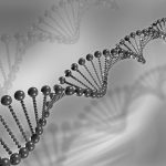 2 Deaths In China Reopen Gene Therapy Debates