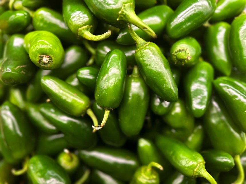 4 Active Salmonella Outbreaks. 2 With Sources ID’d: Jalapeños, Eggs