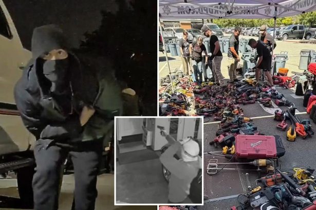 4 juveniles arrested for targeting 77 homes and cars