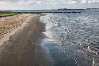 5 Dead Via Vibrio Vulnificus