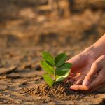 7 Climate Education Video Lessons for Classrooms