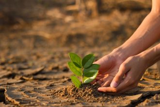 7 Climate Education Video Lessons for Classrooms