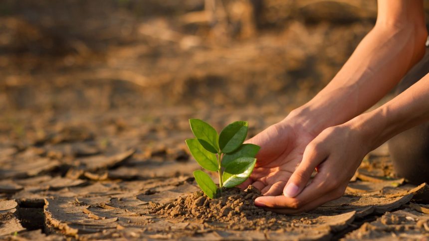 7 Climate Education Video Lessons for Classrooms