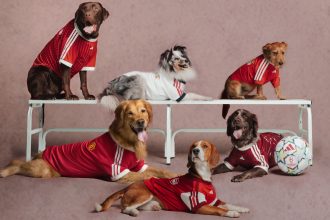 Adidas Originals’ New Pet Collection Brings Pride to Match Day