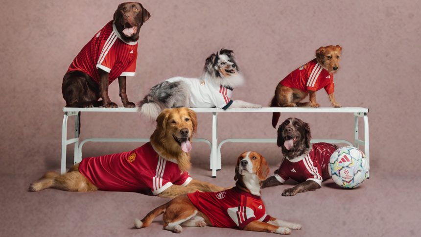 Adidas Originals’ New Pet Collection Brings Pride to Match Day