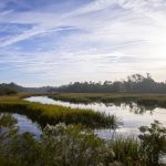 A new plan to preserve Georgia’s marshes: Give them space to migrate
